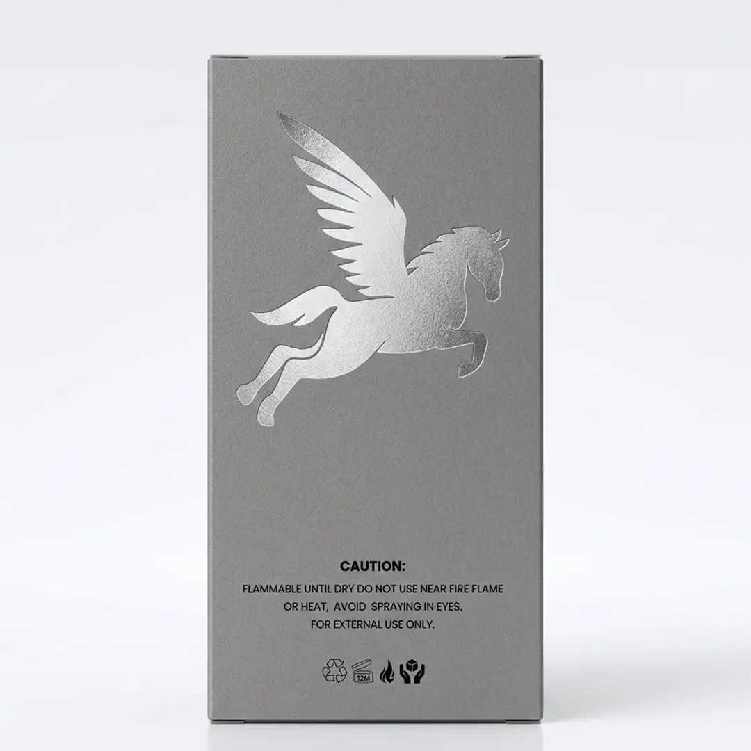 🪽 PEGASUS (for Men) Secondary image